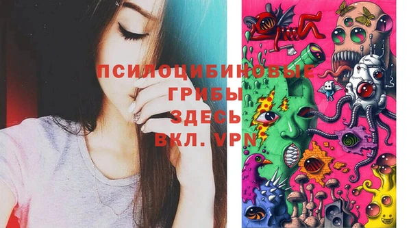 спайс Магадан