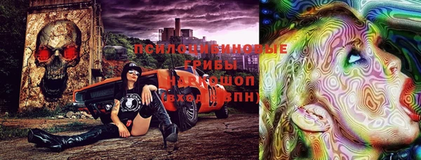 амф Майский