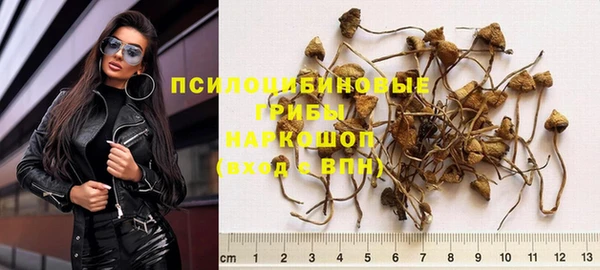 амф Майский