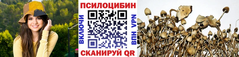 Галлюциногенные грибы Psilocybe  продажа наркотиков  Добрянка 