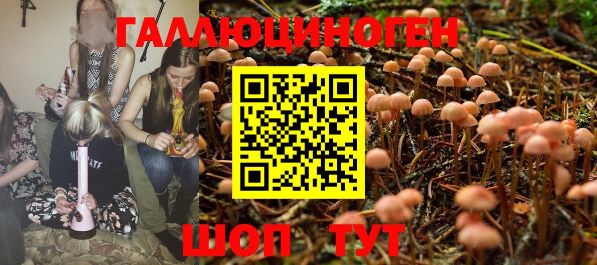 Псилоцибиновые грибы GOLDEN TEACHER  Добрянка  Галлюциногенные грибы мицелий 