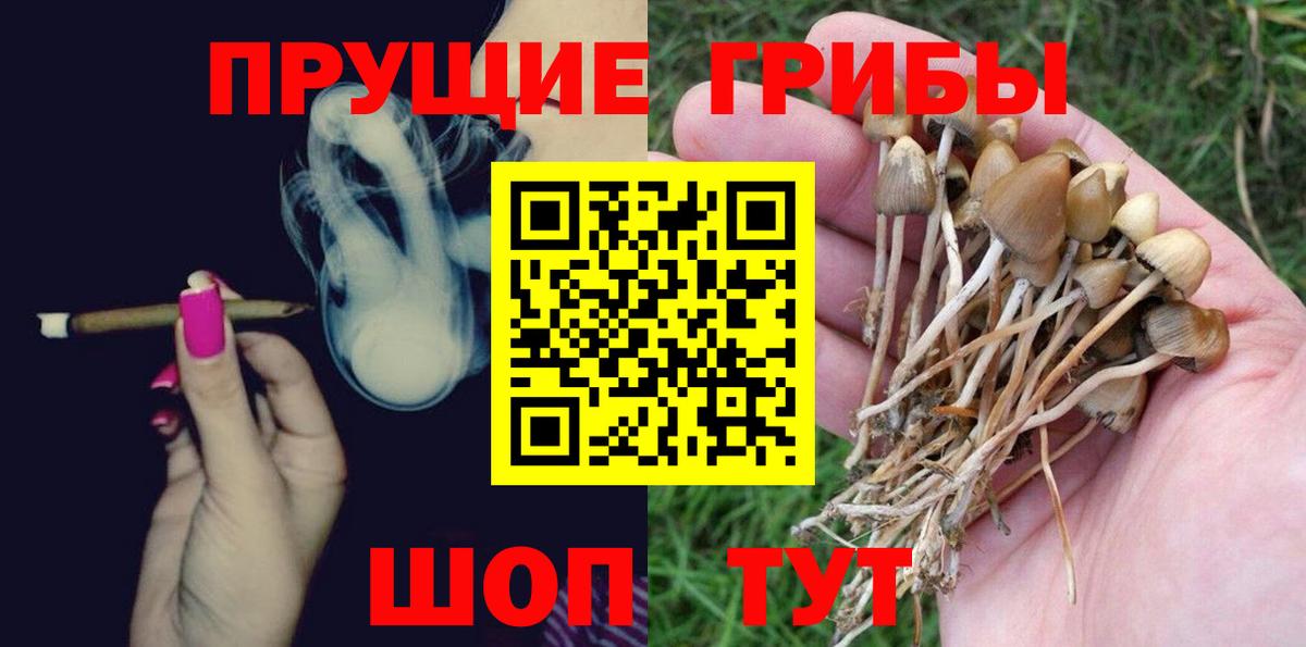 Добрянка  Галлюциногенные грибы Psilocybine cubensis  Вход с VPN 